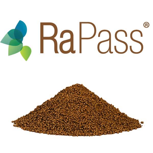 RaPass
