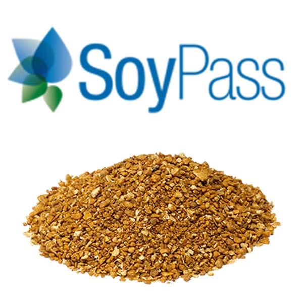 SoyPass